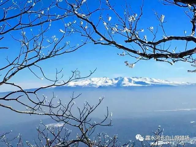 埃琳娜房间清洁